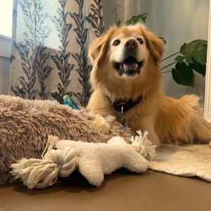 Meet your Posher, Allison